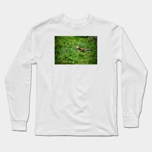 Fox Hunt / Swiss Artwork Photography Long Sleeve T-Shirt